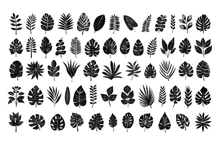 Doodle Different Types of Tropical, an Object Illustration by LadadikArt