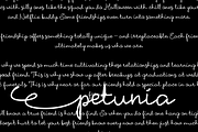 Petunia, a Script Font by namistudio (Thumbnail 6 of 6)