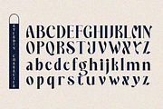 Averdyn, a Serif Font by zaaintype (Thumbnail 6 of 10)
