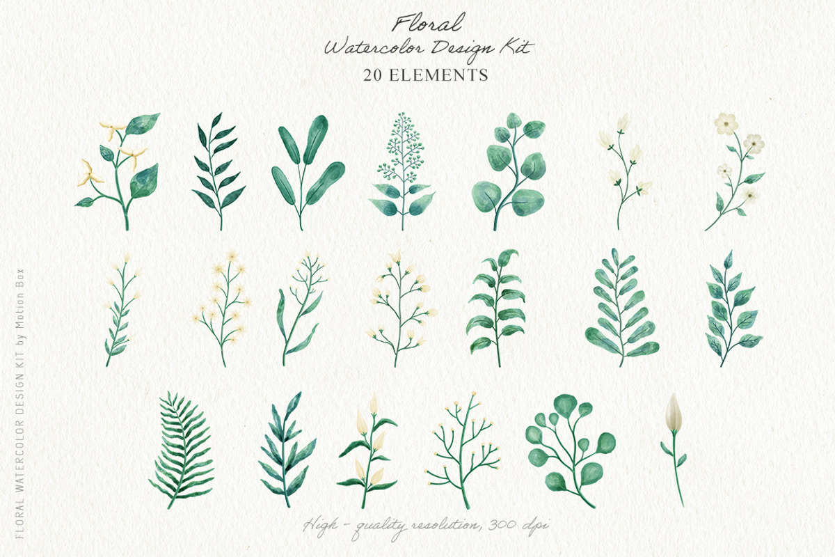 Floral Watercolor Design Big Pack, an Object Graphic by Motion-Box (Photo 11 of 17)