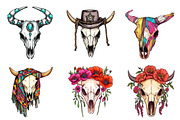 Western Cow Skull Clipart, an Illustration by CreationArt (Thumbnail 5 of 5)