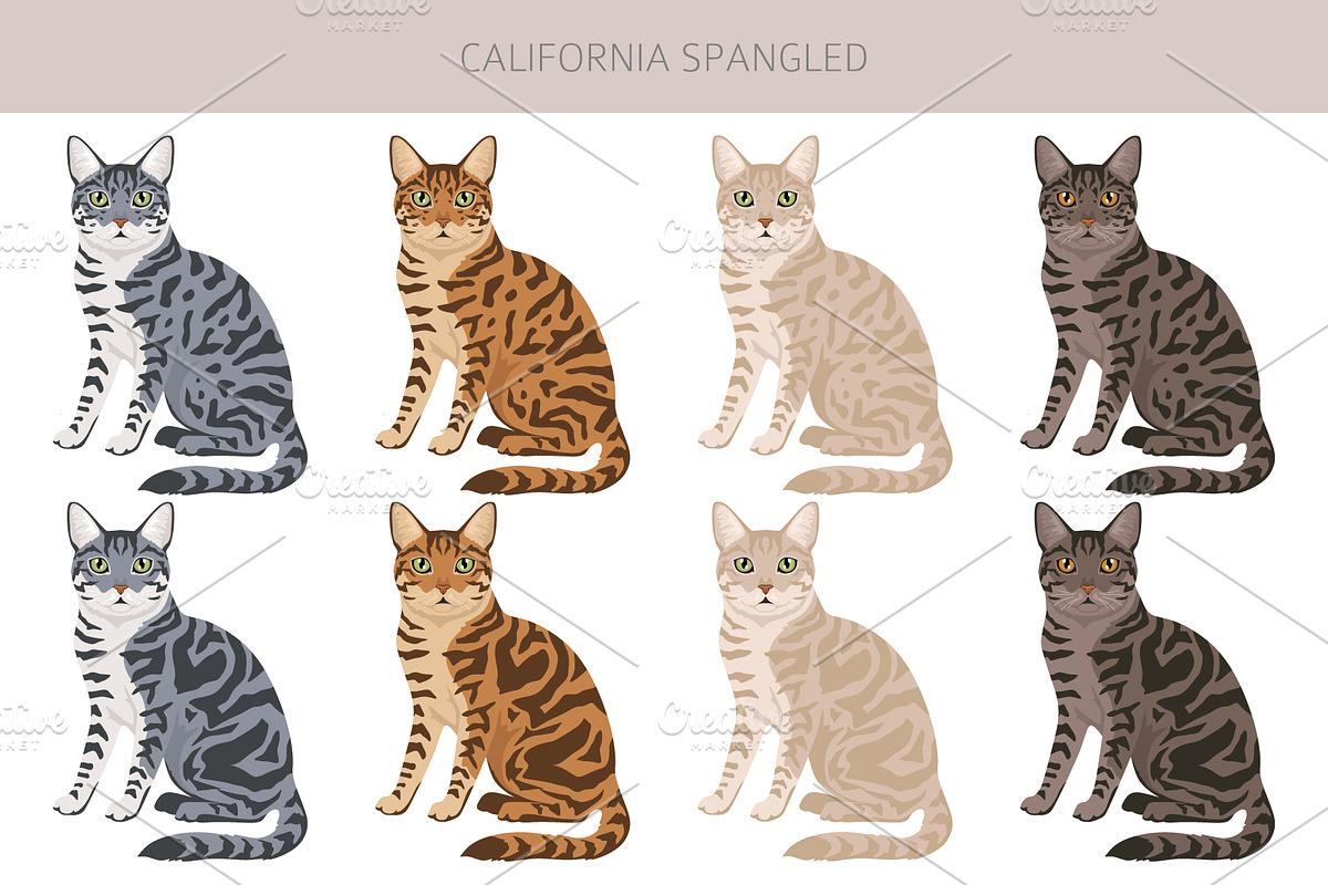 California Spangled Cat clipart set, an Animal Illustration by pet design shop (Photo 3 of 6)