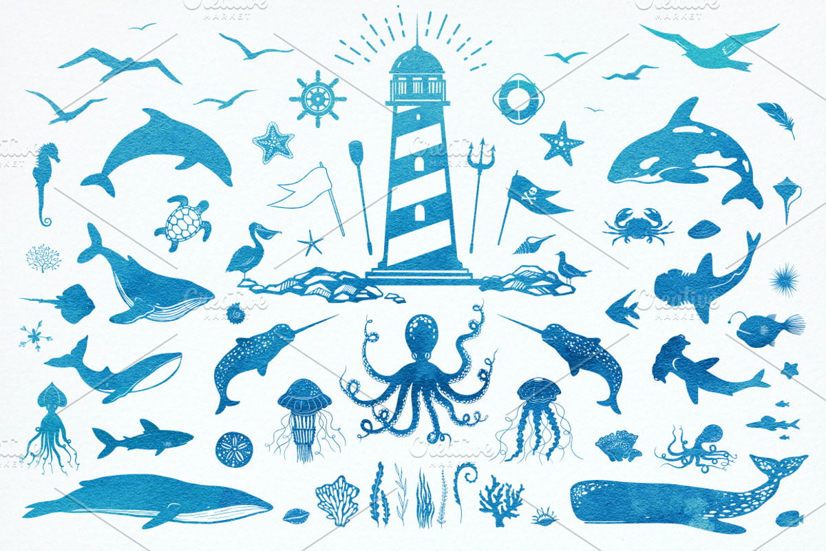 Ocean is calling: nautical clipart, an Animal Illustration by harmonia_green_art (Photo 2 of 9)