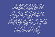 Estone Dreamwell Elegant Script Font, a Script Font by Letterena Studios Script (Thumbnail 16 of 20)