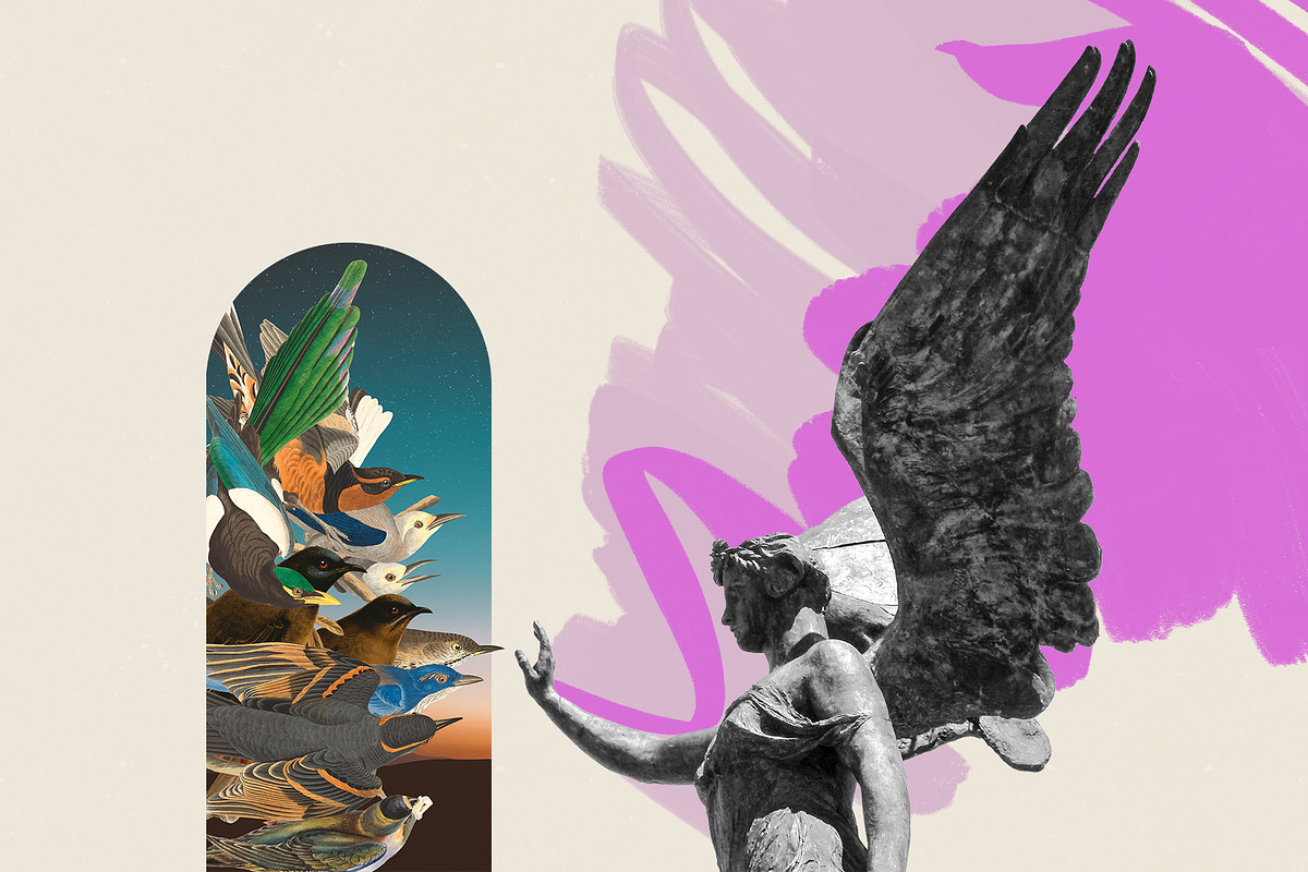 ZAUM. Collage Creator, an Object Graphic by Colden Blue (Photo 13 of 14)
