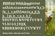 Hasbor Modern Alternate Serif Font, a Serif Font by AmorfaType (Thumbnail 11 of 11)