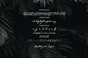 Rishin, a Script Font by Zelda Graphic (Thumbnail 2 of 7)