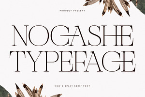 Nocashe New Display Serif Font