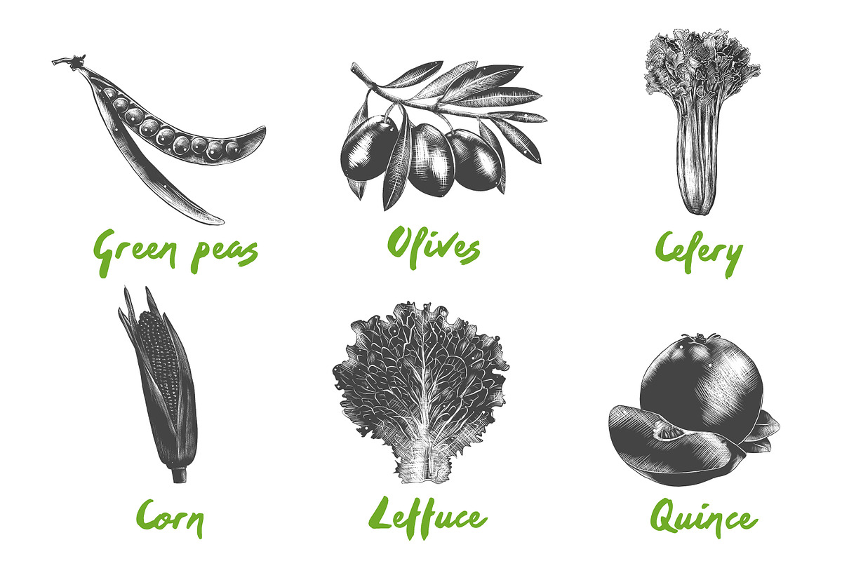 Set of 42 healthy food objects, a Decorative Illustration by Akimo Mia (Photo 5 of 9)