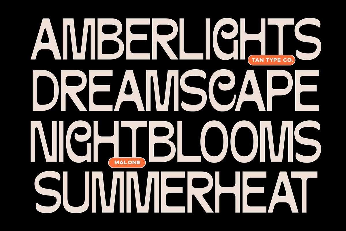 TAN-MALONE, a Sans Serif Font by TanType (Photo 5 of 11)