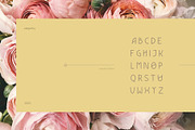 Elegantly - sans elegant font, a Font by DanieleFranchi (Thumbnail 5 of 13)