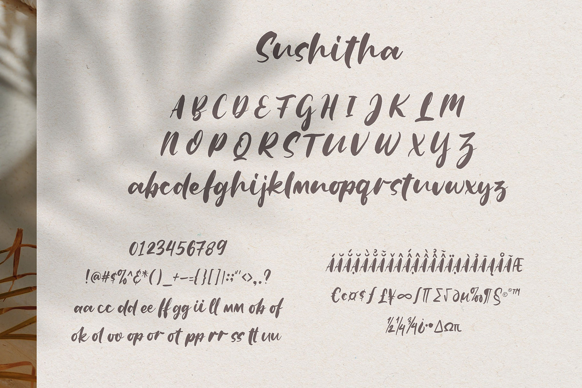 Sushitha, a Script Font by alit design (Photo 7 of 11)