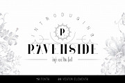 Massive Font Bundle - 197 fonts, a Script Font by VP Fonts (Thumbnail 2 of 55)