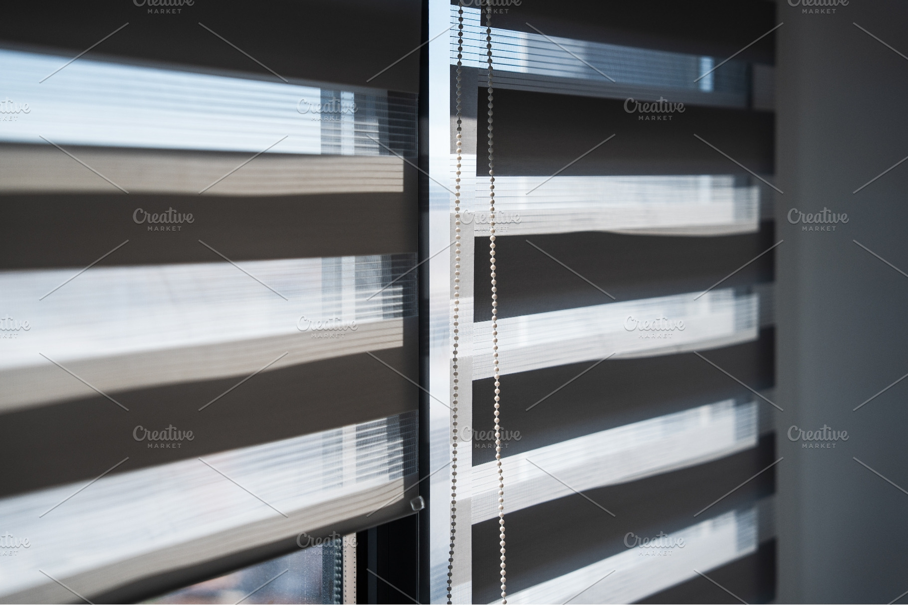 View of Zebra Window Blinds With, an Architecture Photo by volodymyrshtun13795