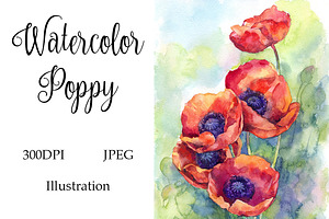 Watercolor Poppies Flowers Art