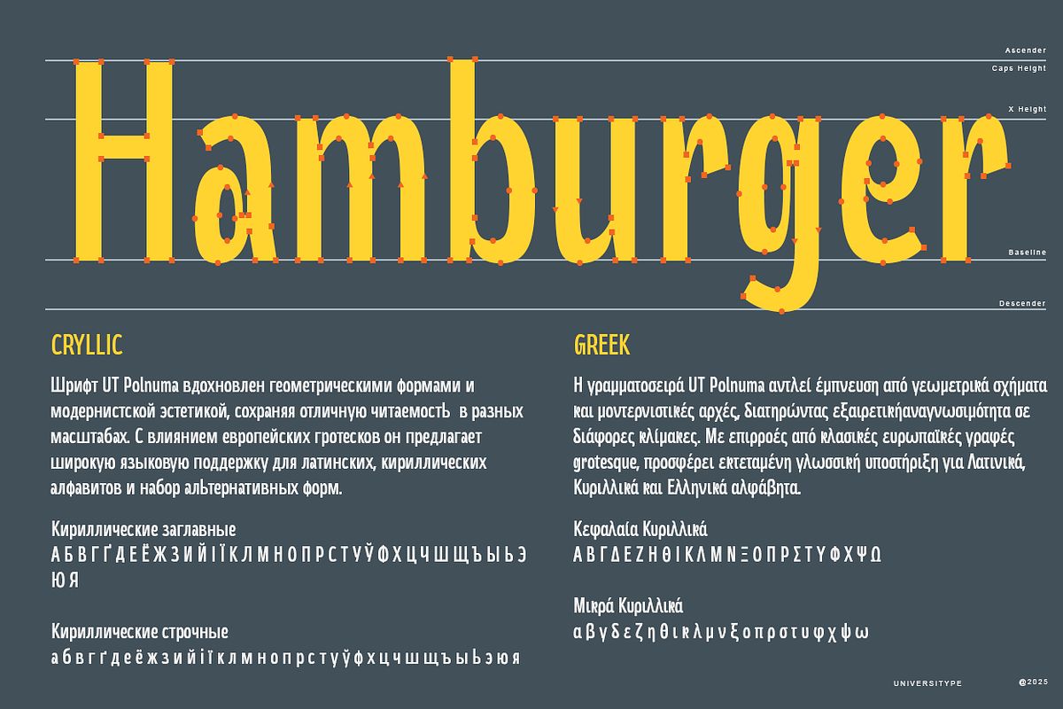 UT Polnuma - A Modern Sans Serif, a Sans Serif Font by Universitype (Photo 9 of 12)