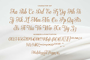 Haydenta - Calligraphic Script, a Script Font by Novitype (Thumbnail 12 of 12)