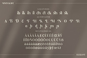 Dishta Bikailen Modern Serif Font, a Serif Font by Storytype Studio (Thumbnail 14 of 15)