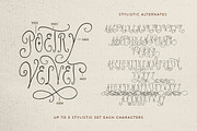 Poetry Velvet Curly Font, a Handwritten Font by Letterhend Studio (Thumbnail 8 of 9)