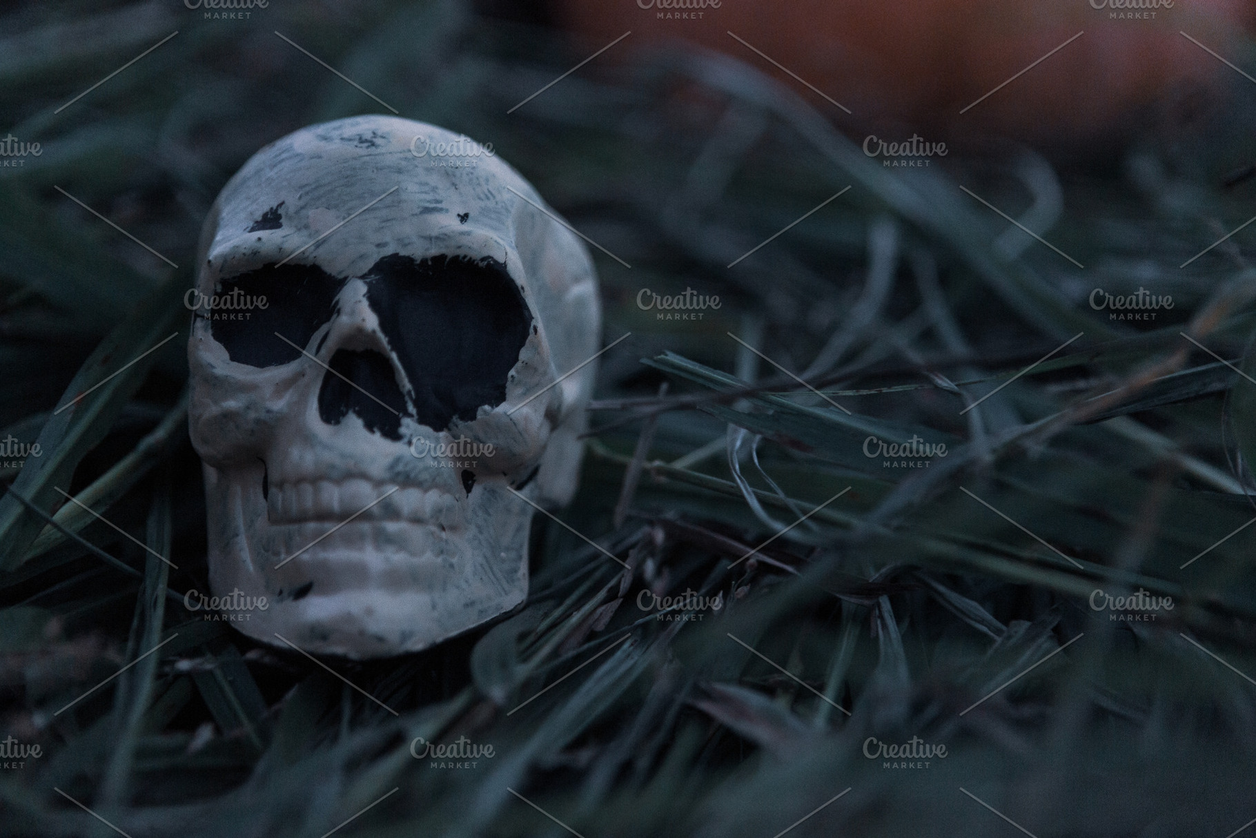 Scary skeleton skull in grass fall stock photo containing abandoned and chilly, a Holiday Photo by Legends Hill