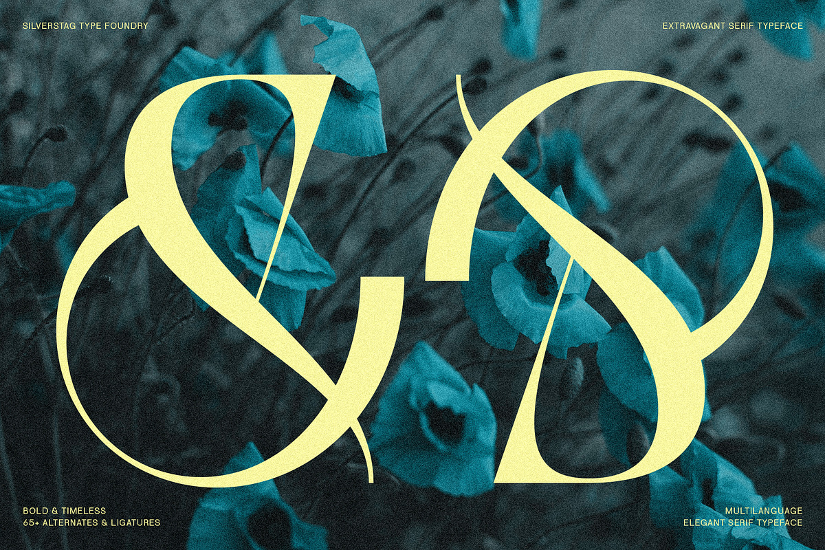 SLTF BOXROOM - Modern Serif Typeface, a Serif Font by SilverStag Type Foundry (Photo 10 of 30)