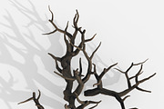 Aquarium Snag Banches V1, an Environmental 3D Model by AndrewWhite (Thumbnail 4 of 8)