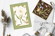 Soft flowers graphic collection, a Decorative Illustration by Yelloo Fish (Thumbnail 2 of 16)