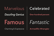 Haboro Soft, a Sans Serif Font by insigne (Thumbnail 4 of 5)