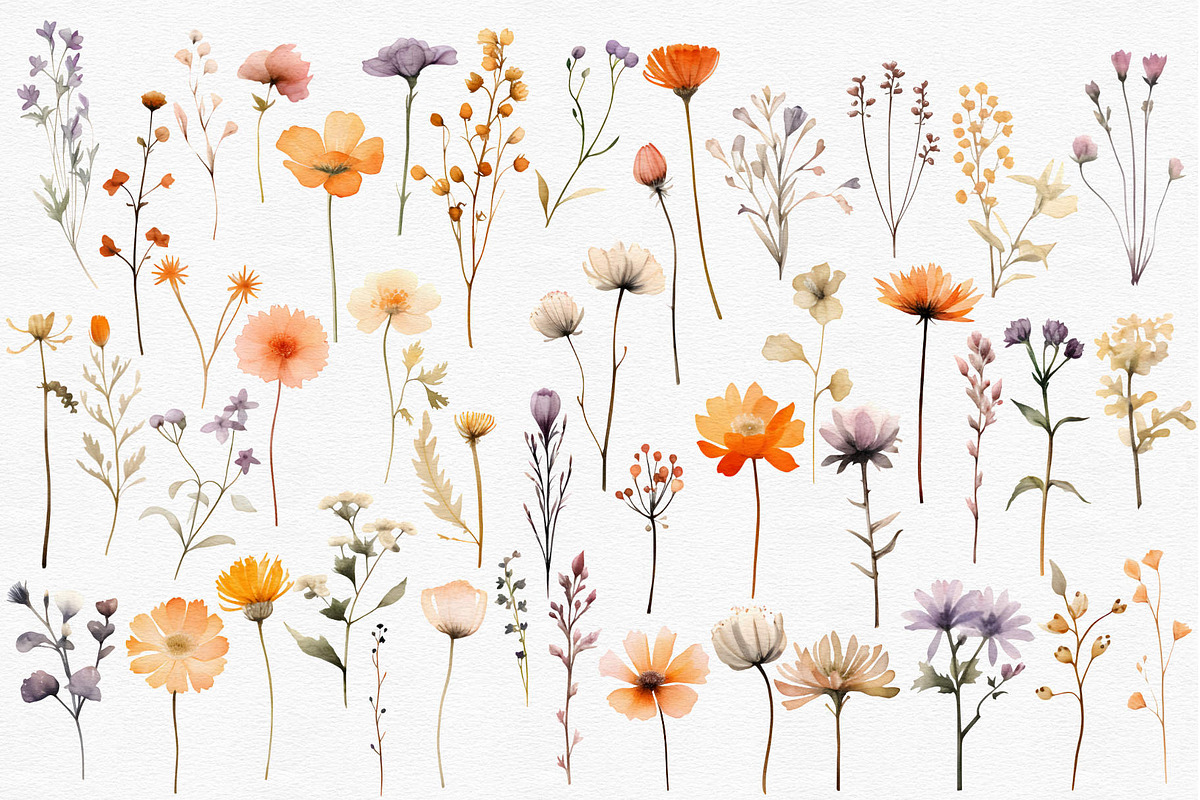Tiny wildflowers set, a Decorative Illustration by marie dricot (Photo 6 of 15)