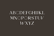 Chairman Butchier Elegant Serif Font, a Serif Font by UICreative (Thumbnail 9 of 13)