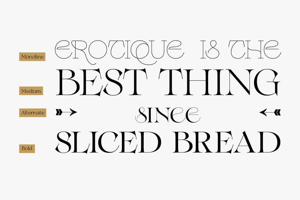 Erotique - 10 fonts, a Serif Font by Zetafonts (Photo 5 of 14)