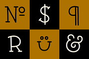 Pleuf, a Slab Serif Font by Polytype (Thumbnail 3 of 6)
