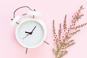 Stock Photo Bundle - Light Pink, a Background Photo by Savvy Stock Shop (Thumbnail 11 of 11)