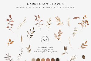 Carnelian Leaves Watercolor Fonts