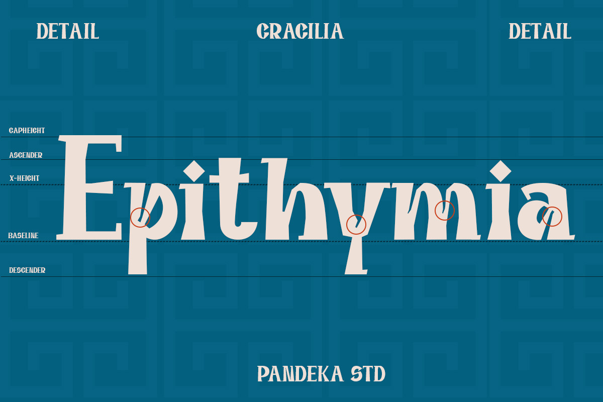 Gragilia - Ancient Greek Font, a Serif Font by Pandeka Studio (Photo 3 of 9)