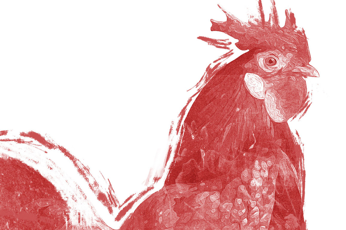 Little Red Rooster Illustration, an Animal Illustration by Digital Art Downloads (Photo 2 of 3)