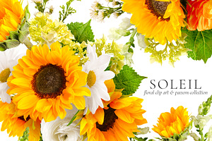 Soleil Floral Patterns & Clip Art