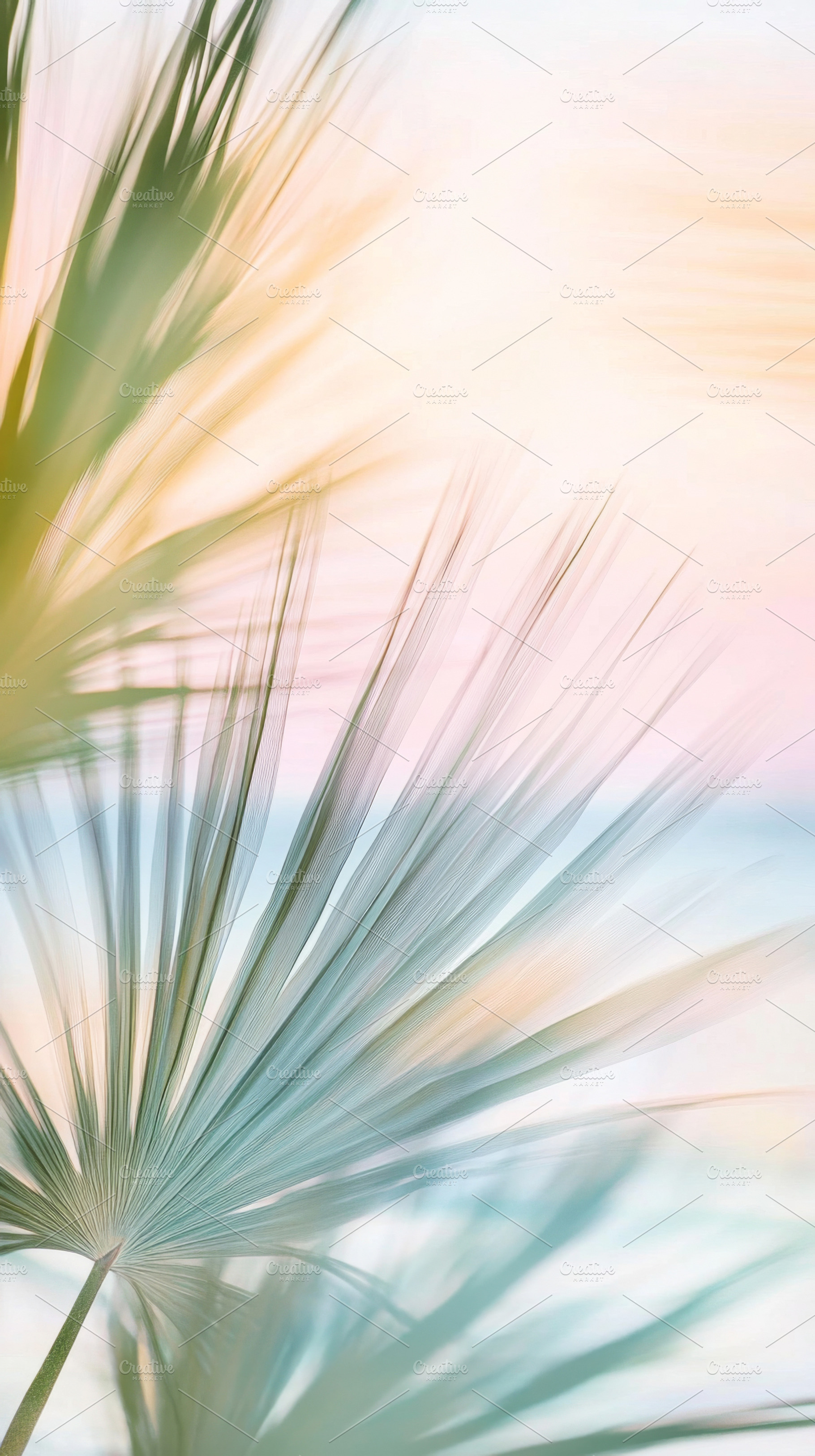 Blurry out-of-focus palm trees with, a Photo by Dvoevnore photos