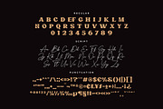Paris Signature - Luxury Font Duo, a Serif Font by Typebae (Thumbnail 10 of 11)
