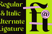 Enligas Modern Serif Display Font, a Serif Font by timelesstype.co (Thumbnail 12 of 15)