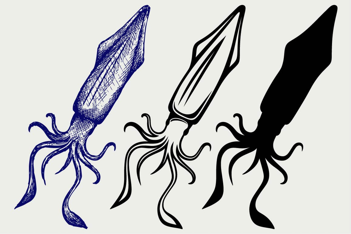 Fresh squid SVG, an Outline Icon by LineworkStock