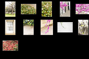 Spring in the City Stock Photo Bundl, a Mockup by Styled Stock House (Thumbnail 5 of 5)