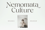 Megalky | Modern Elegant Serif Font, a Serif Font by Rissyletter Studio (Thumbnail 8 of 12)