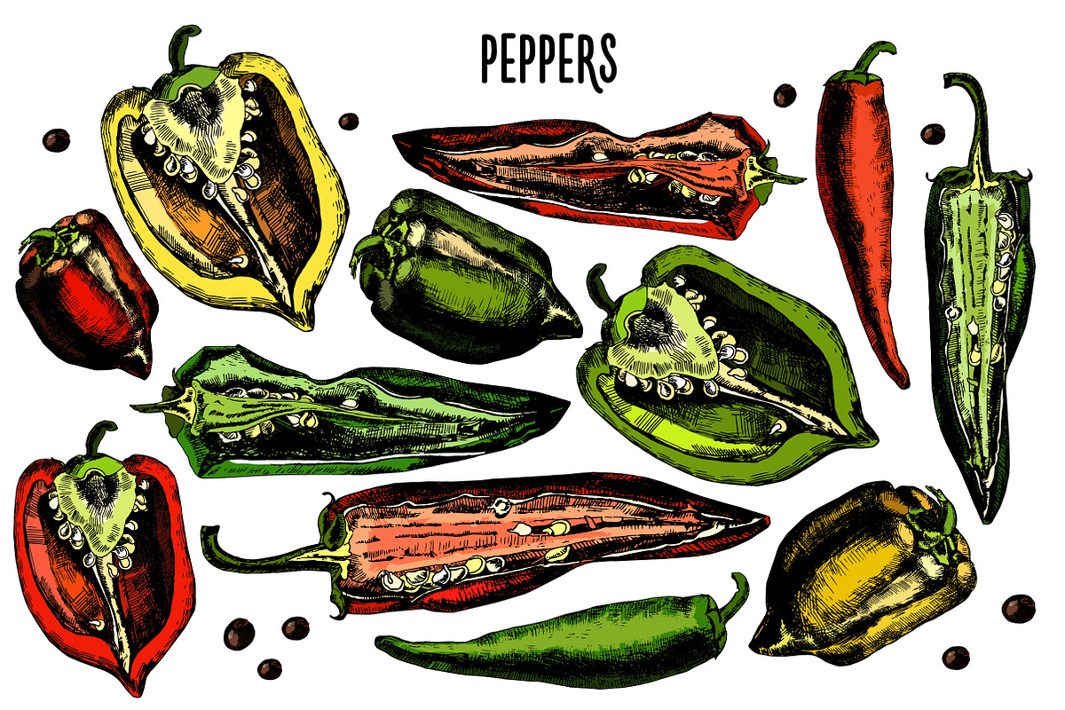 Beautiful vegetables for your design preview 2