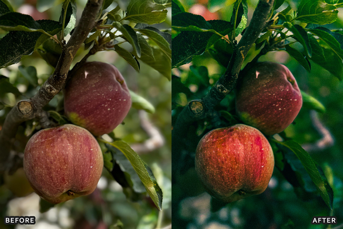 Golden Apple Orchard Presets, a Preset Add-On by AAA Presets (Photo 5 of 14)