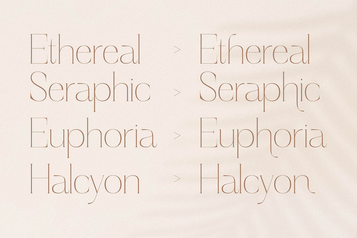 Haloyen Stylish Font Serif, a Serif Font by Storytype Studio (Photo 8 of 15)
