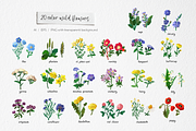 Wild meadow flowers $ herbs, an Object Graphic by yttadesign (Thumbnail 3 of 17)