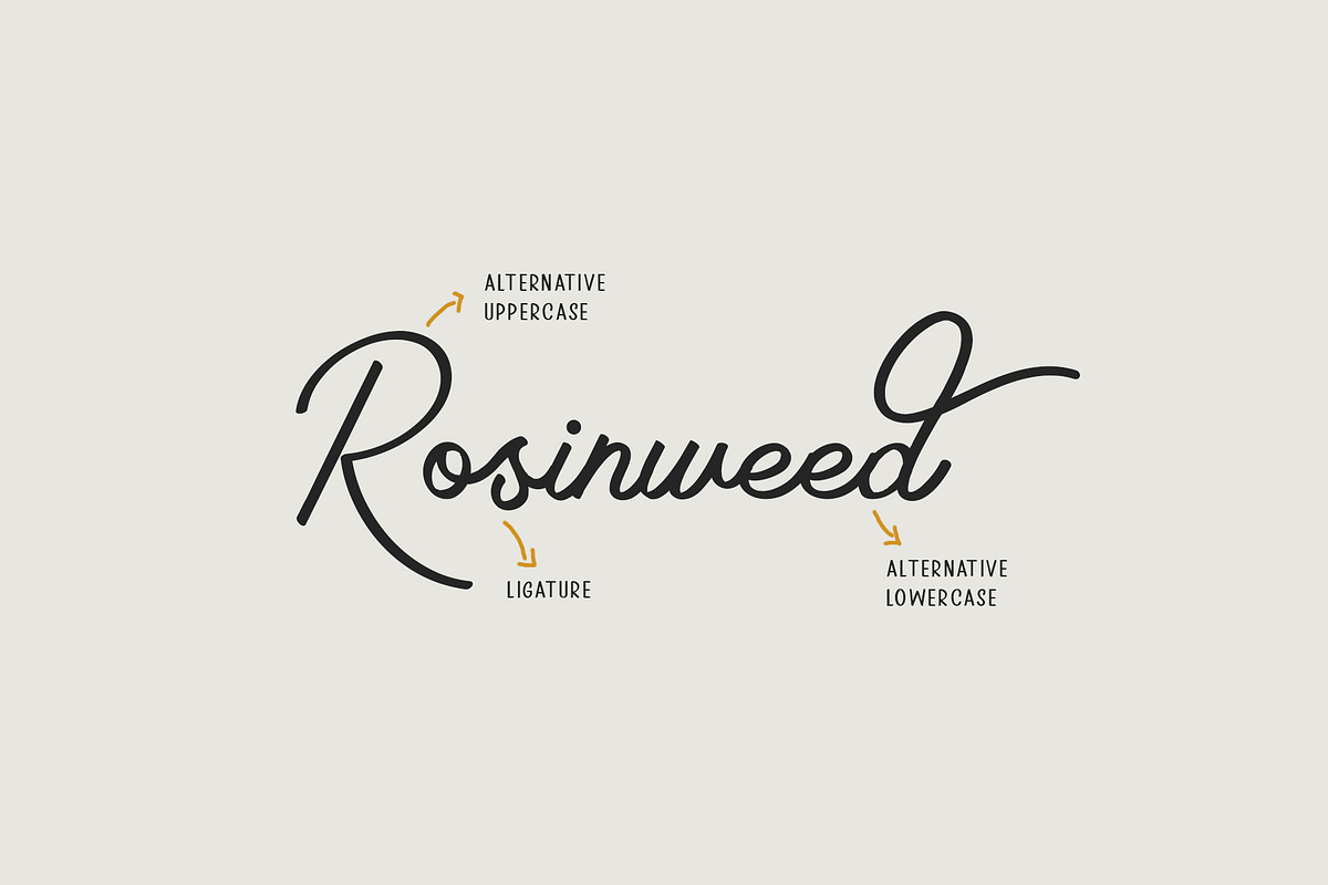 Rosinweed Font ( + Bonus Leaves ) preview 8