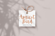 Apricots | A Handwritten Script Font, a Script Font by KA Designs (Thumbnail 5 of 12)