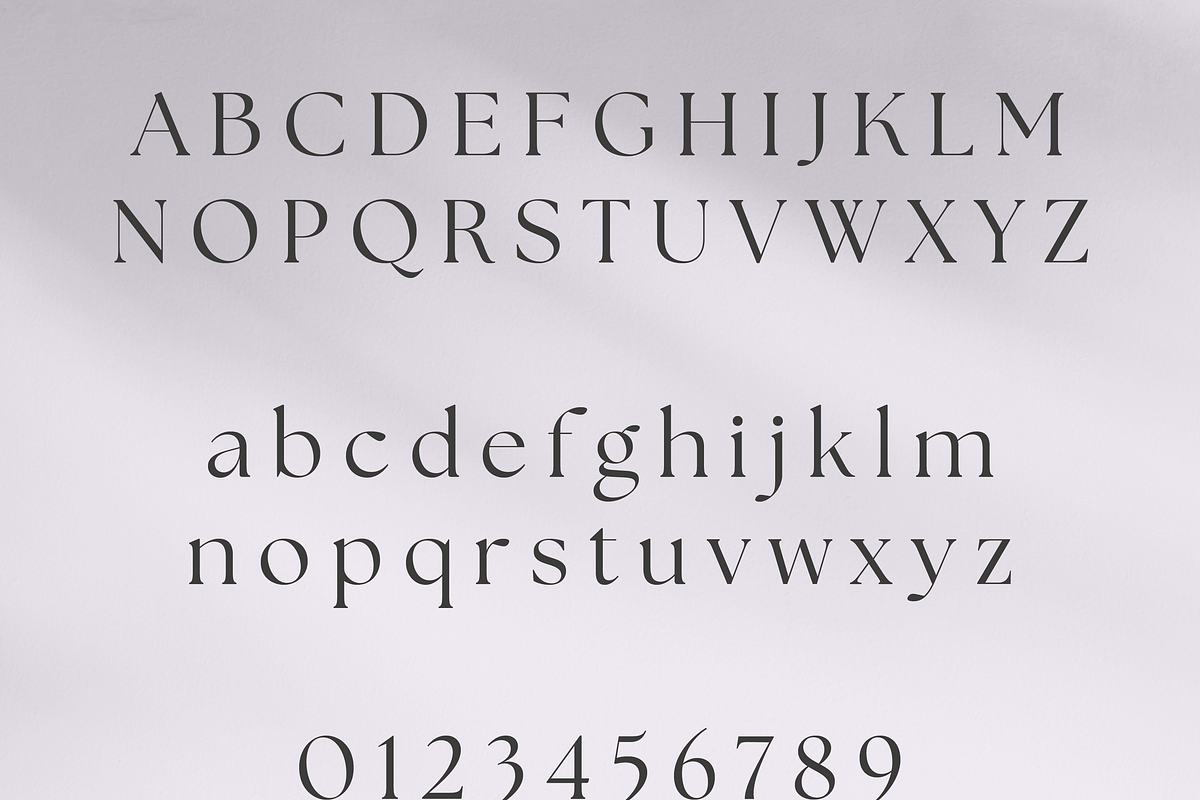 Retro Standard Serif, a Serif Font by Creative Foundry (Photo 6 of 8)